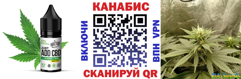 MEGA как зайти  дарнет шоп  Осинники  Canna-Cookies конопля 