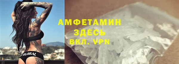 хмурый Верея