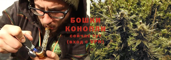 хмурый Верея