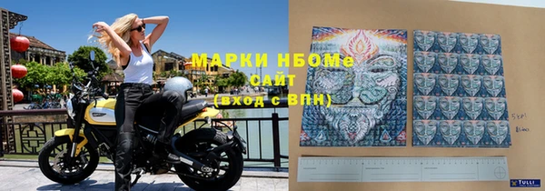 хмурый Верея