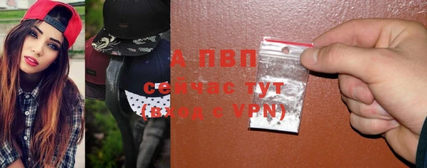 хмурый Верея