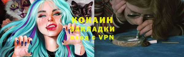 хмурый Верея