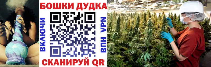 Бошки марихуана Ganja  Осинники 